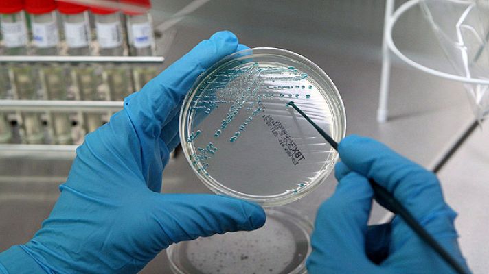 Telediario 1 - Un laboratorio alemán trabaja en neutralizar la bacteria 'E.Coli'
