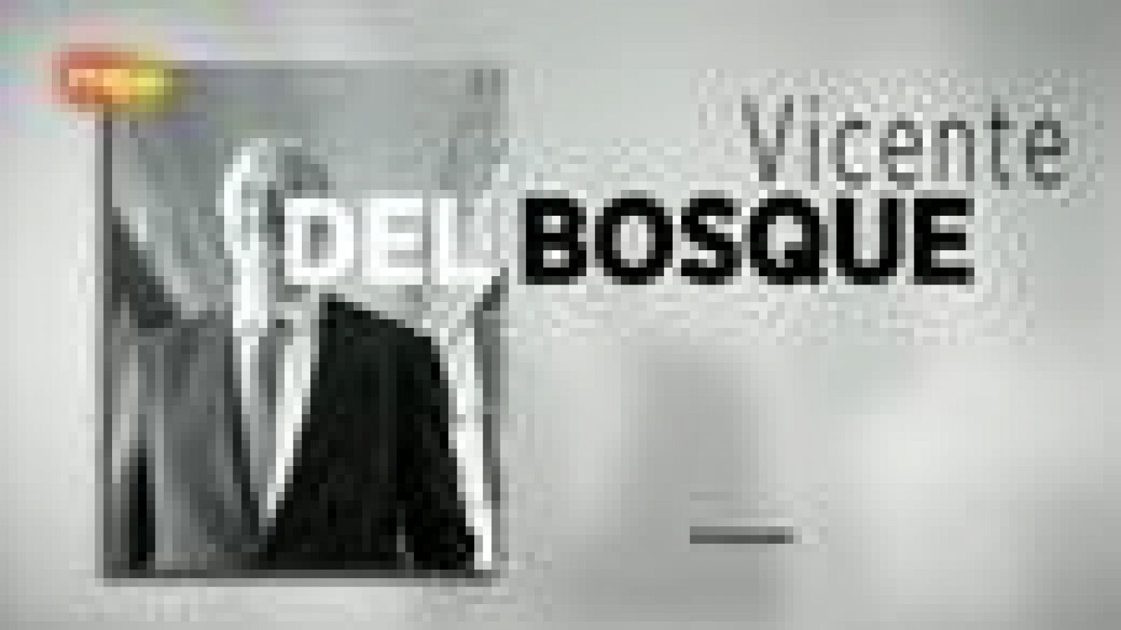 Sin programa: Palabra Vicente del Bosque. Día E | RTVE Play