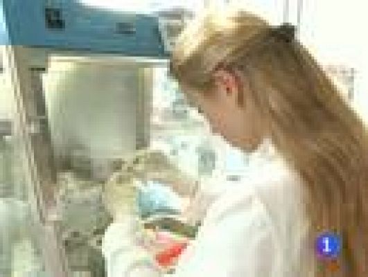 Telediario 1 - En Alemania se mantiene la alerta sobre las verduras frescas