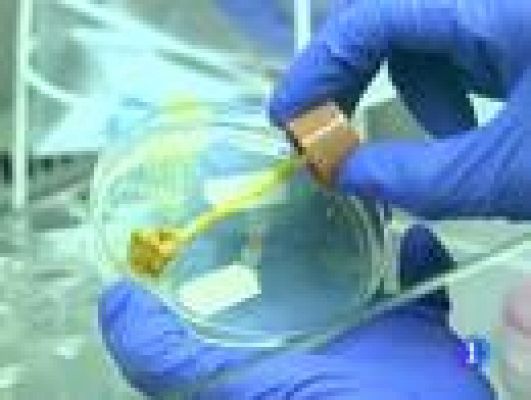 Telecanarias - Telecanarias en 2' 09/06/2011