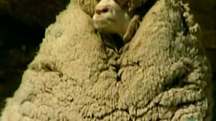 La 2 Noticias - Shrek, la leyenda