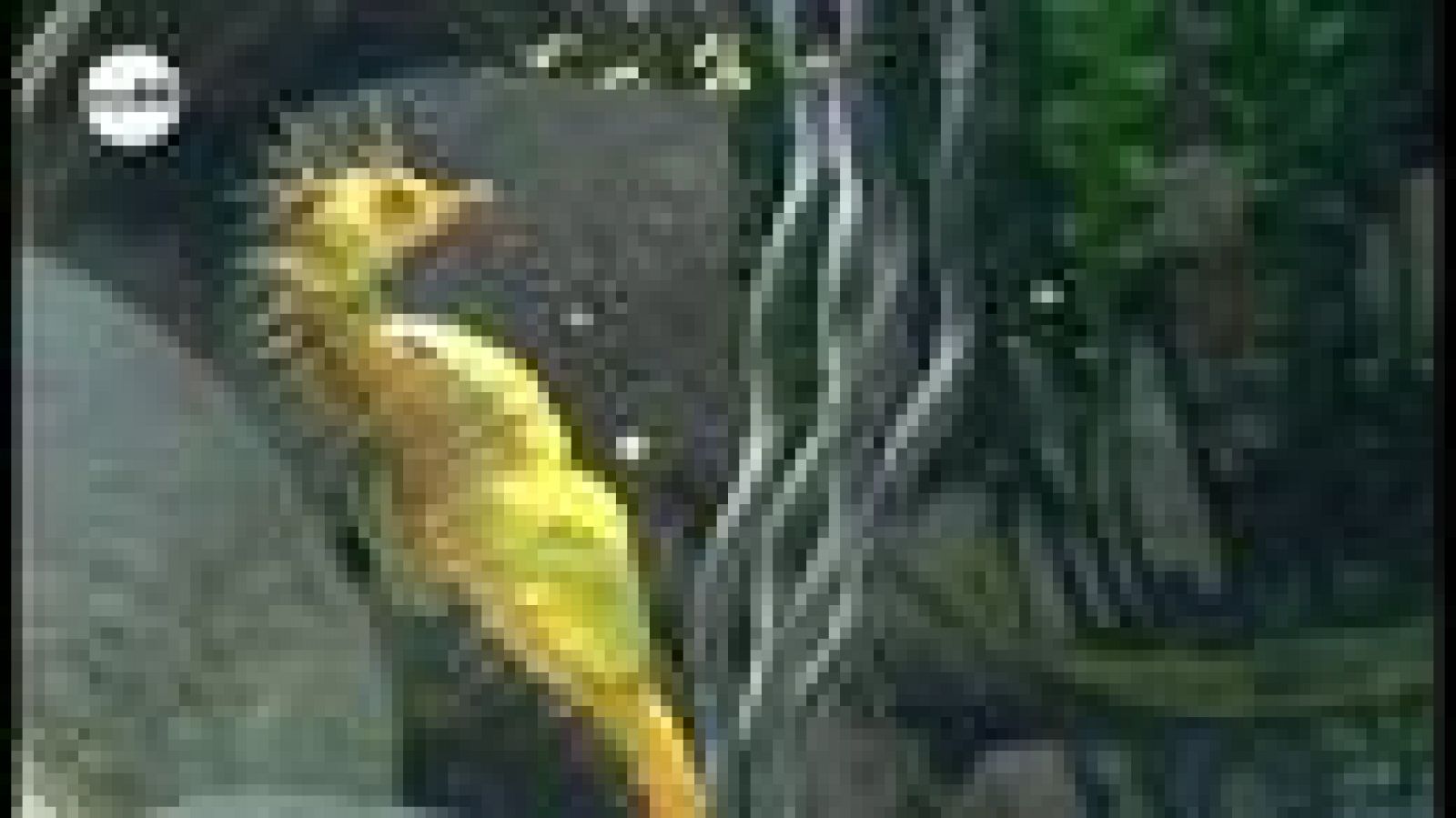 tres14 - cautivos - avance