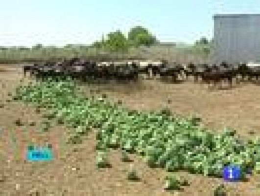  - Frunet demanda a Alemania