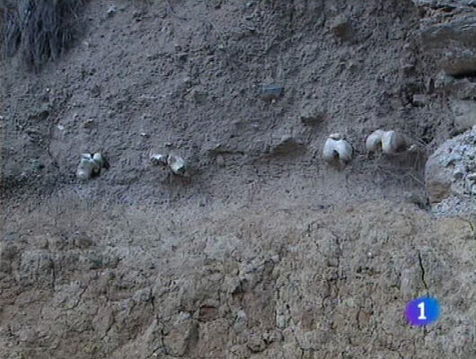 Panorama Regional - Panorama Regional - 10/06/11