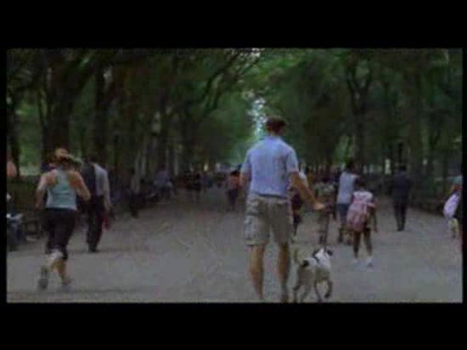 Cartelera - El incidente, la nueva película de Shyamalan - Cartelera (2010) | Ver