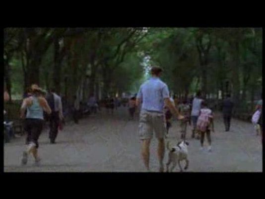 Cartelera (2010) - El incidente, lo nuevo de Shyamalan