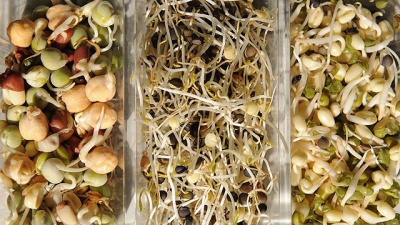  Los agricultores siguen sumando pérdidas por la crisis de la bacteria E.Cóli