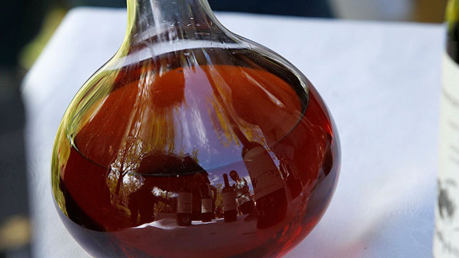 Catas de vino para saber idenficar un buen caldo