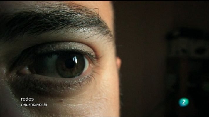 Redes - Ver el mundo en estéreo