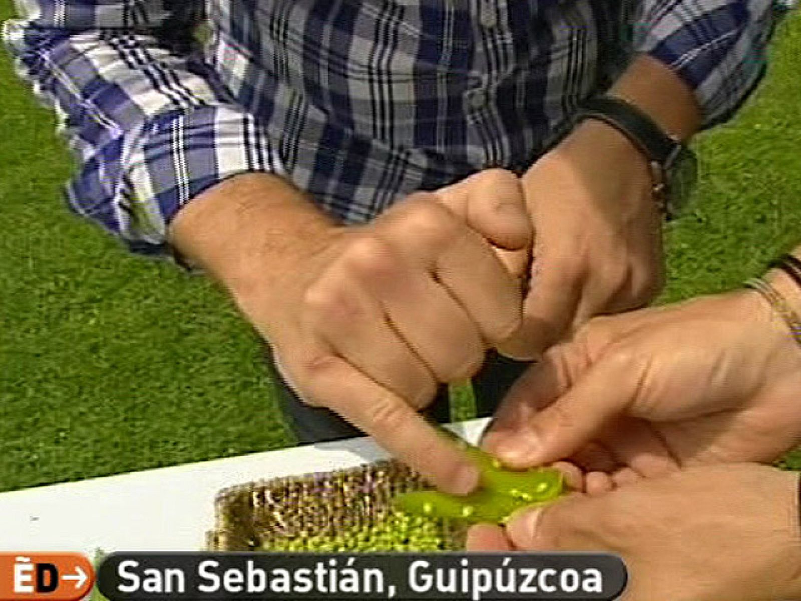 España Directo - El caviar de la huerta