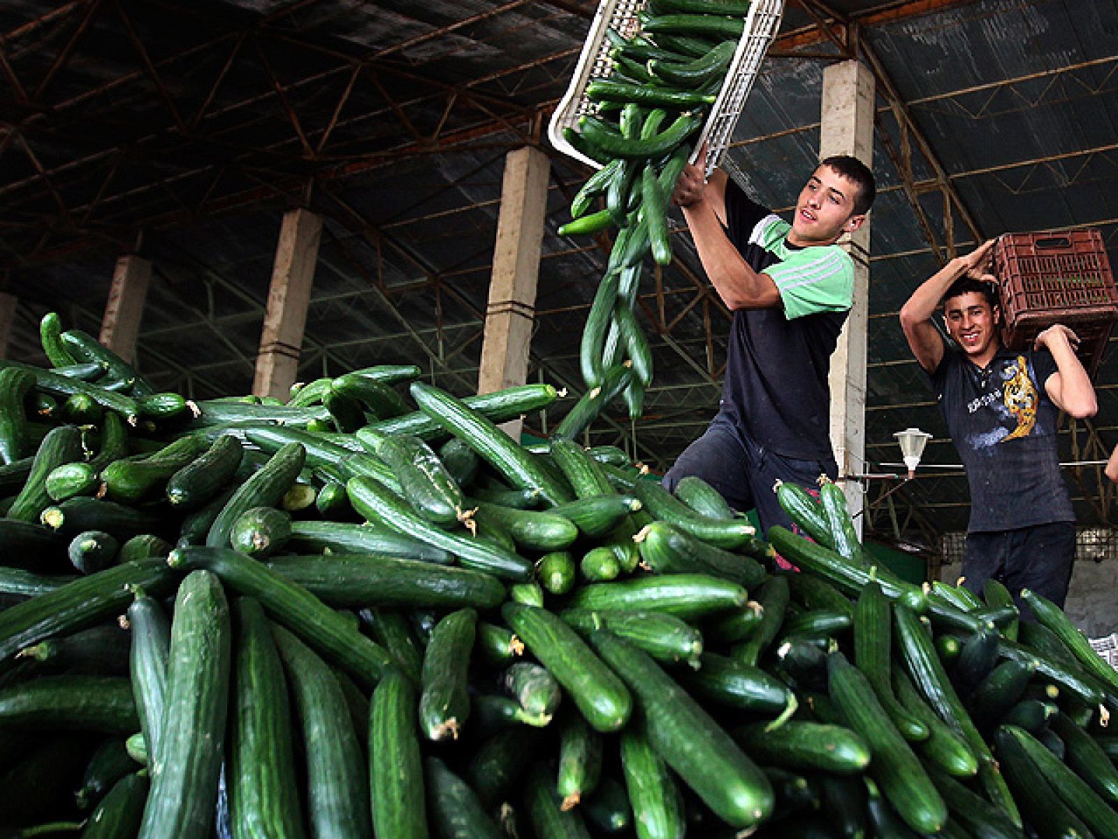 La UE somete a votación las compensaciones  por la 'crisis del pepino' - Informativo 24h | Ver