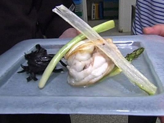 España Directo - Rape con crema de ajo