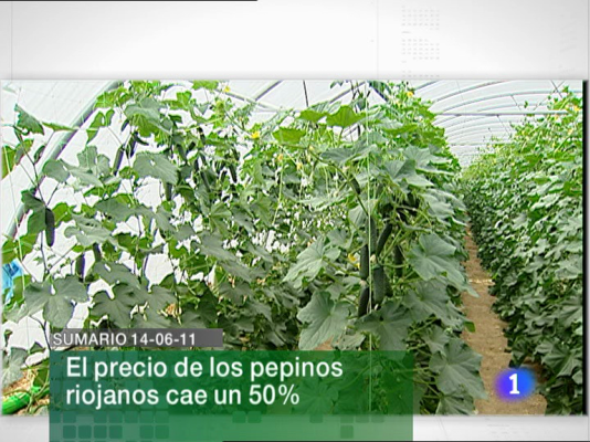 Informativo Telerioja - Informativo Telerioja - 14/06/11