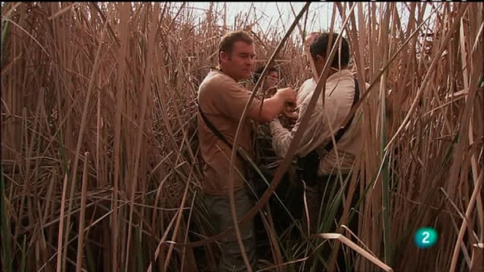 Biodiario - 14/06/11 - Ver ahora