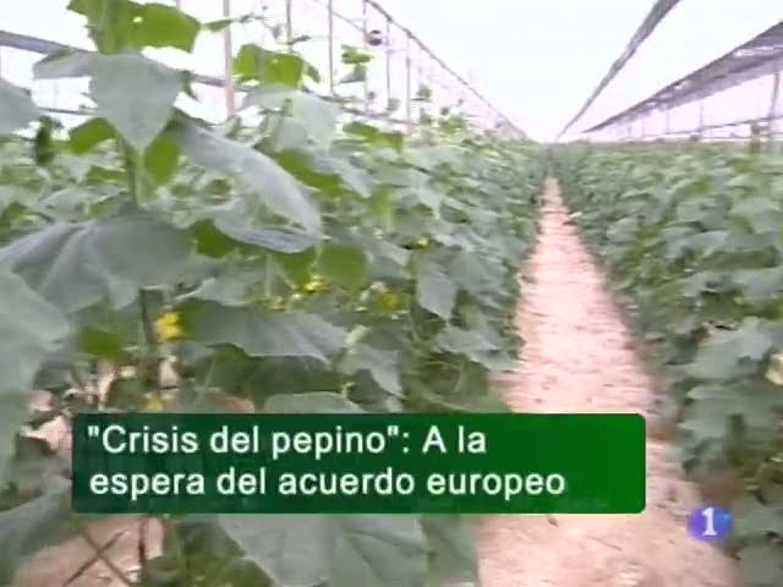 Noticias Andalucía: Noticias Andalucía 14/06/11 | RTVE Play
