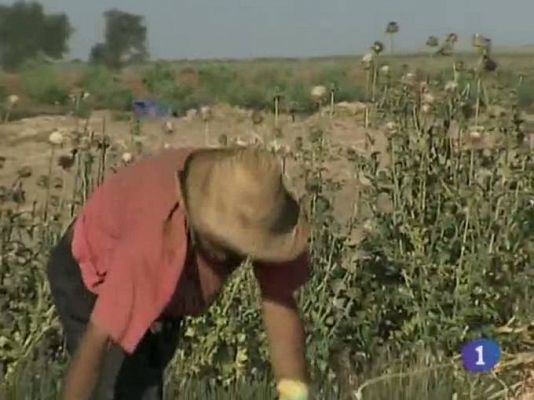 Noticias Castilla La Mancha en 2 (15/06/2011)