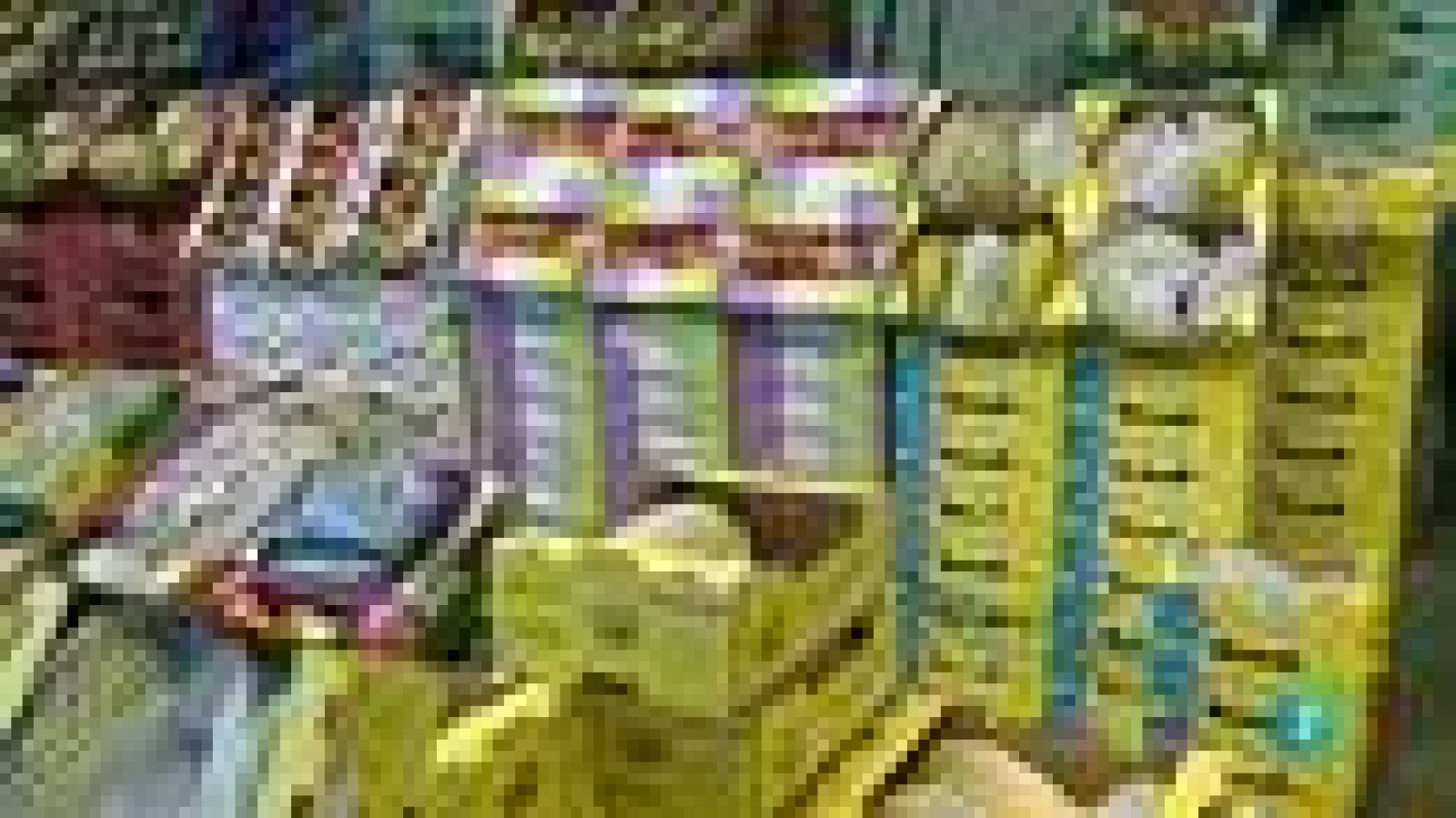 Para Todos La 2 - Frutas antioxidantes