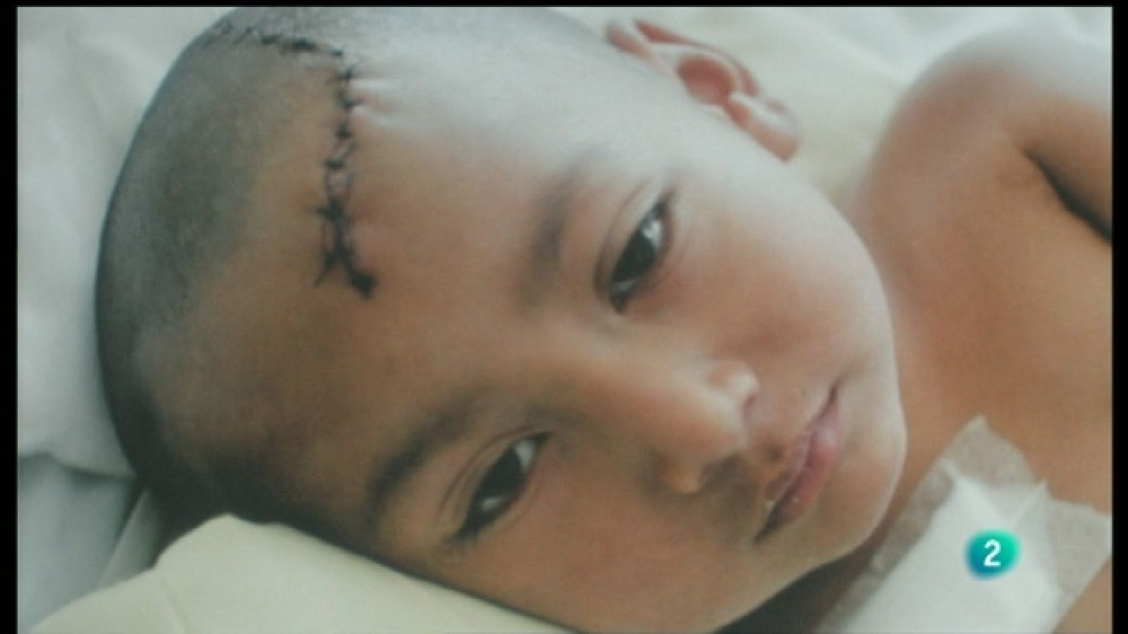 La aventura del saber - 16/06/11 - Ver ahora