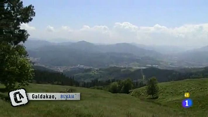 Comando Actualidad - Cumpleaños campestre