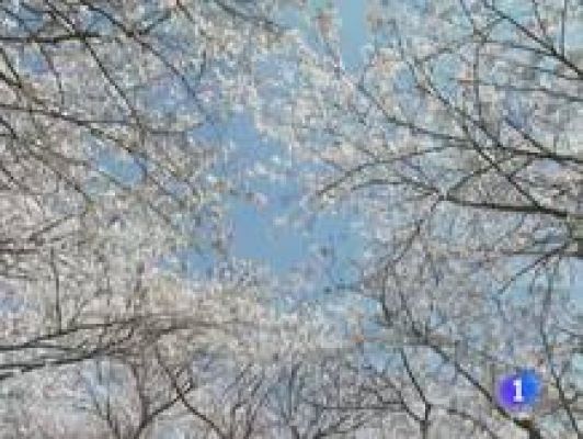 Informativo Telerioja - El tiempo en La Rioja - 16/06/11