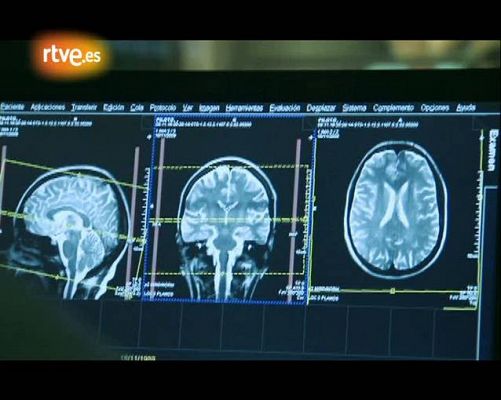 La noche temática - Verdadero o falso. Avance