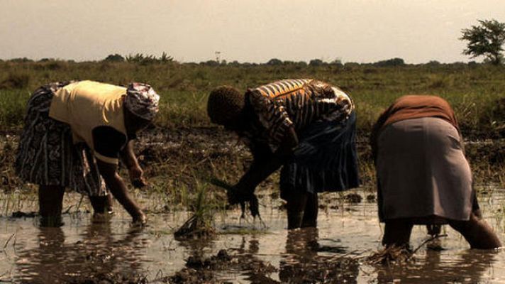 Días de cine - 'Voces desde Mozambique'
