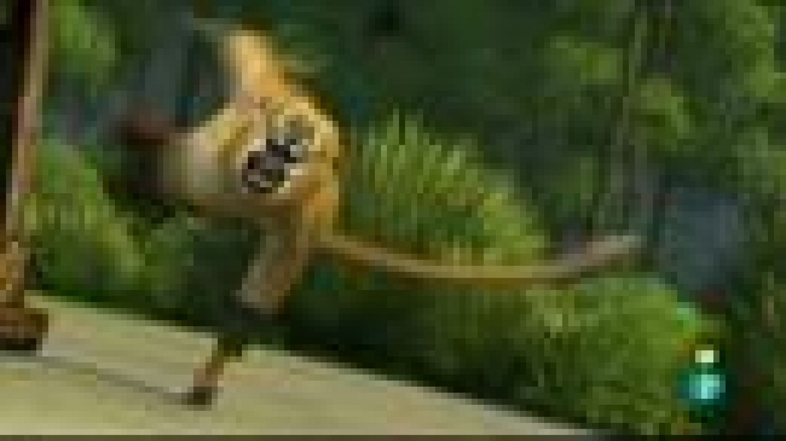 Días de cine: 'Kung Fu Panda 2', de Jennifer Yuh | Ver