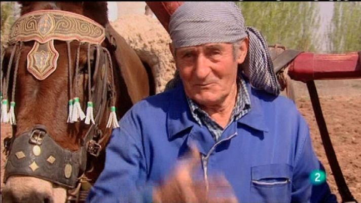 Biodiario - Biodiario - 18/06/11