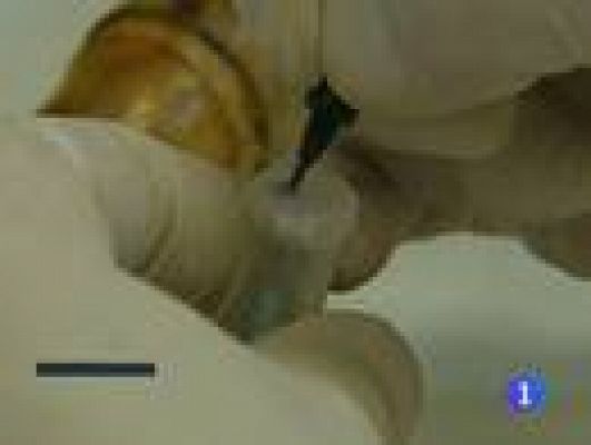 Telediario 1 - Bases de datos de la Policía