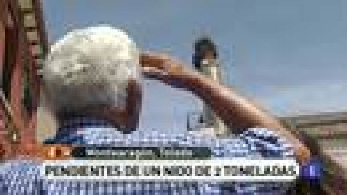 España Directo - Pendientes de un nido