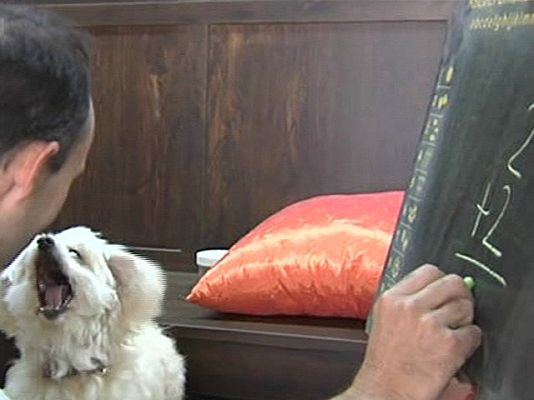 España Directo - Micky sabe sumar