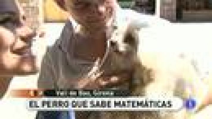 España Directo - Micky sabe sumar