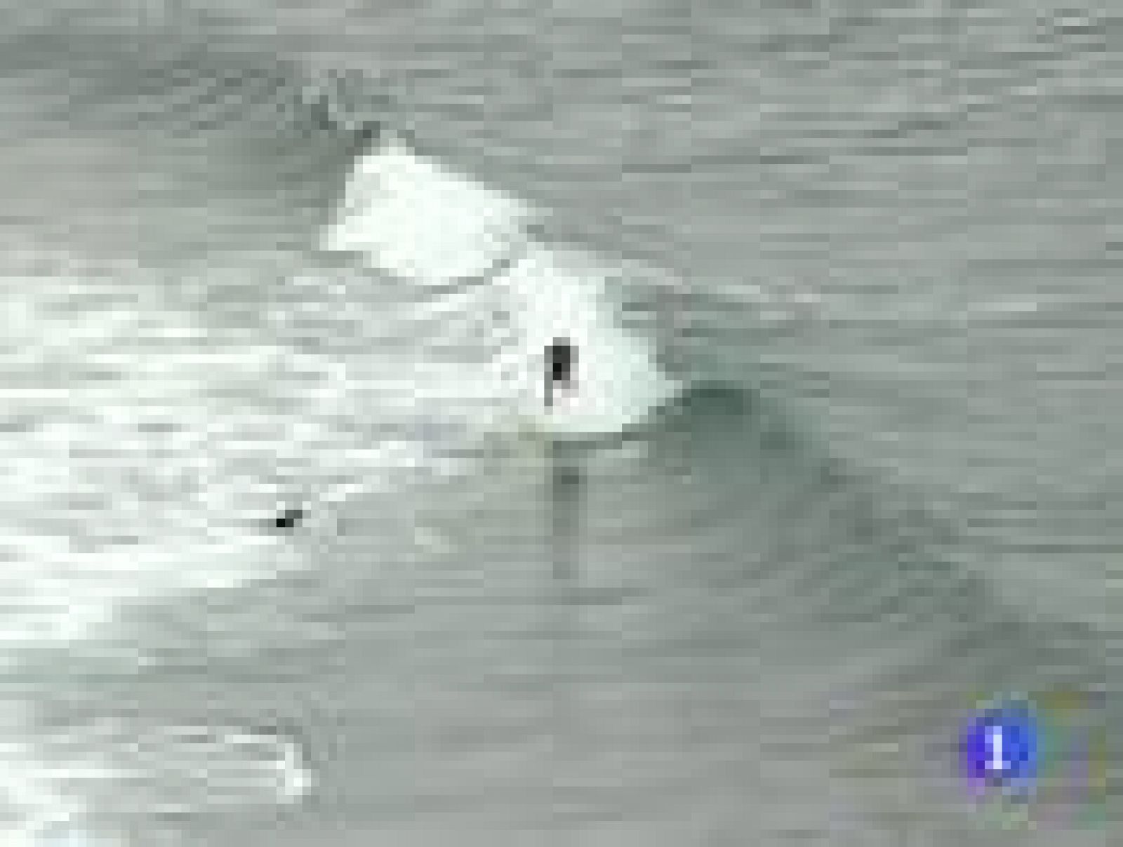 Sociólogos y analistas políticos coinciden en que el reto de Bildu ahora es ganar credibilidad