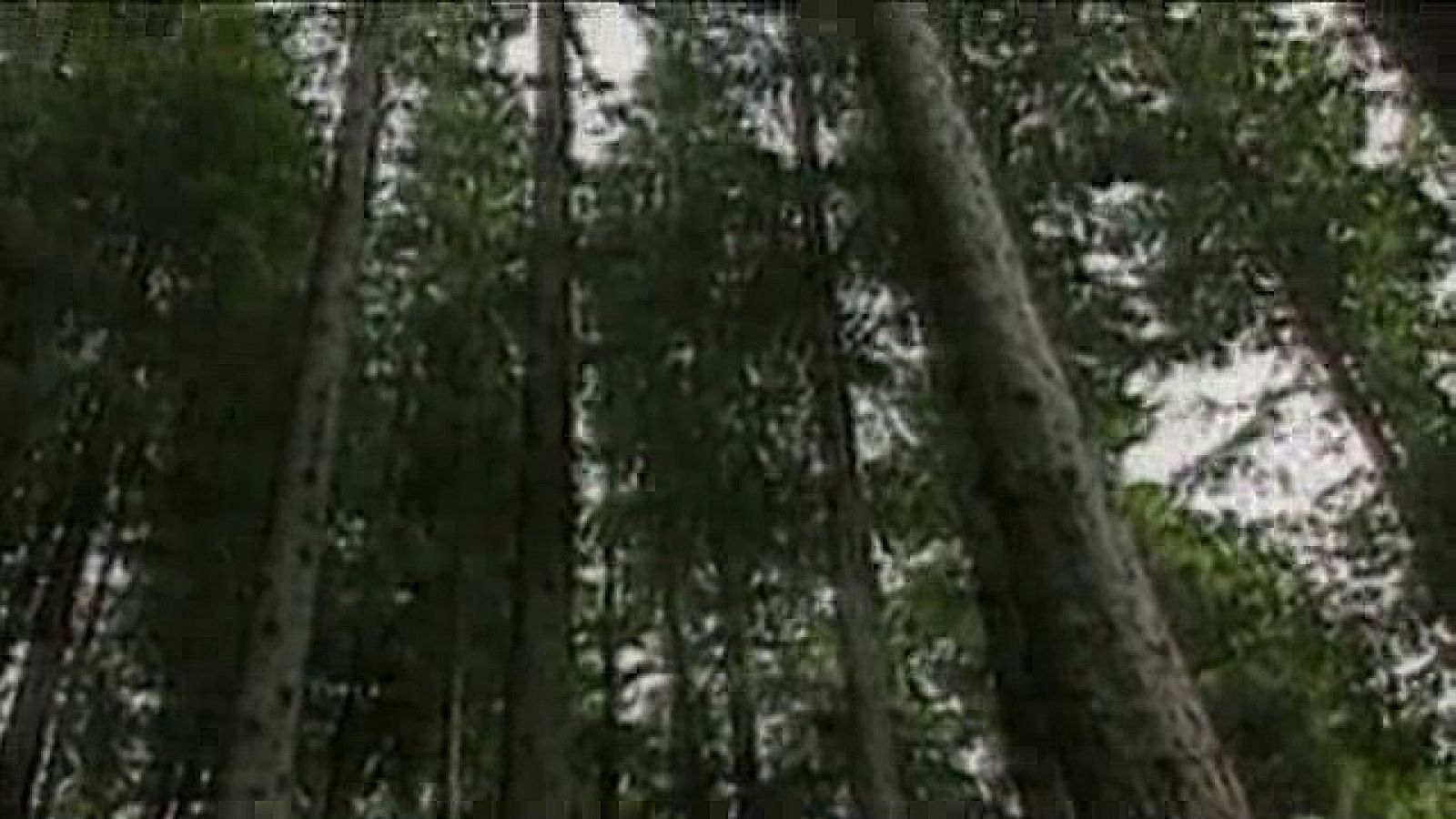  Responsabilidad Social Corporativa.