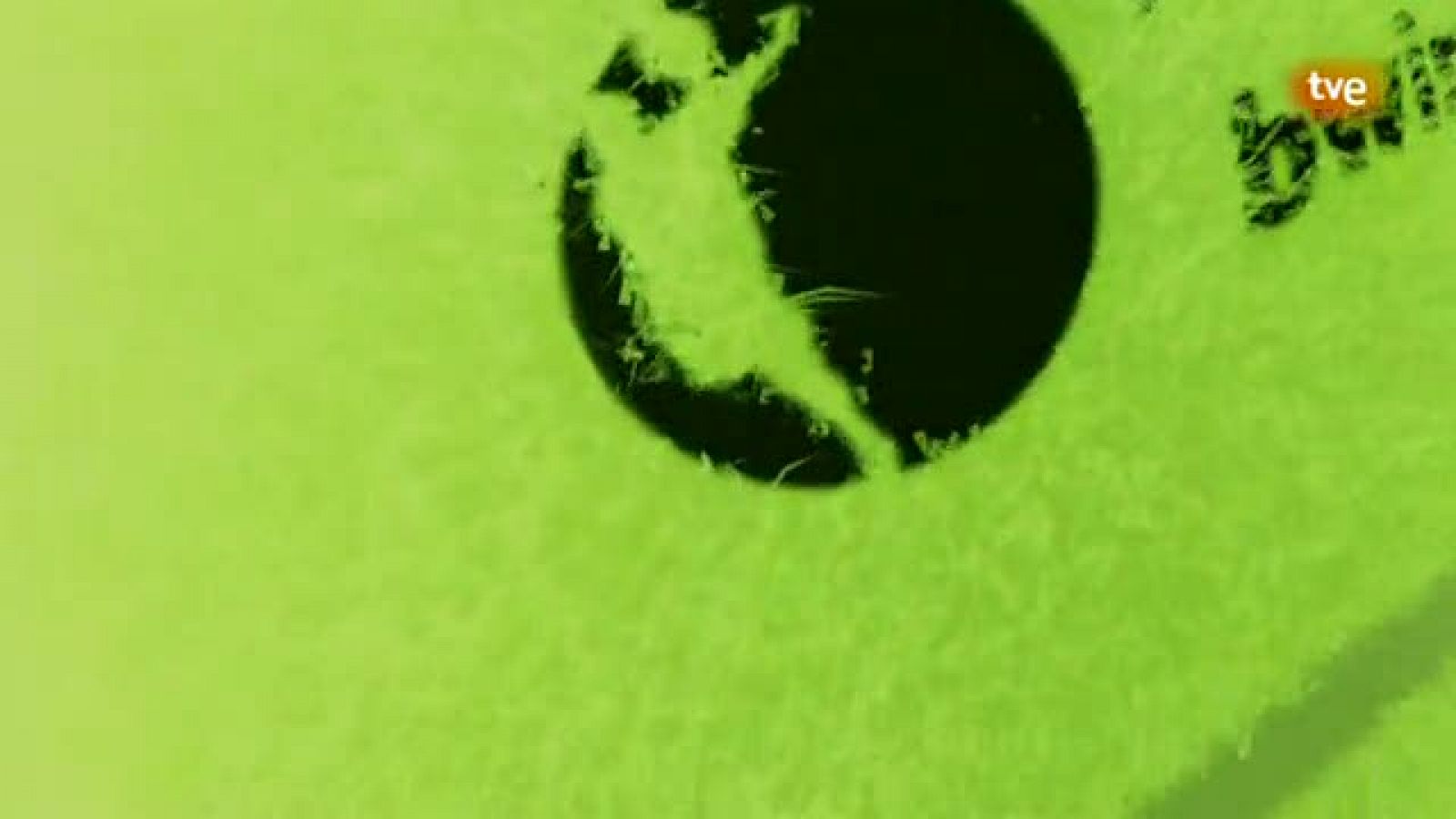 Pádel Pro Tour 4º Programa - 23/06/11 - Ver ahora