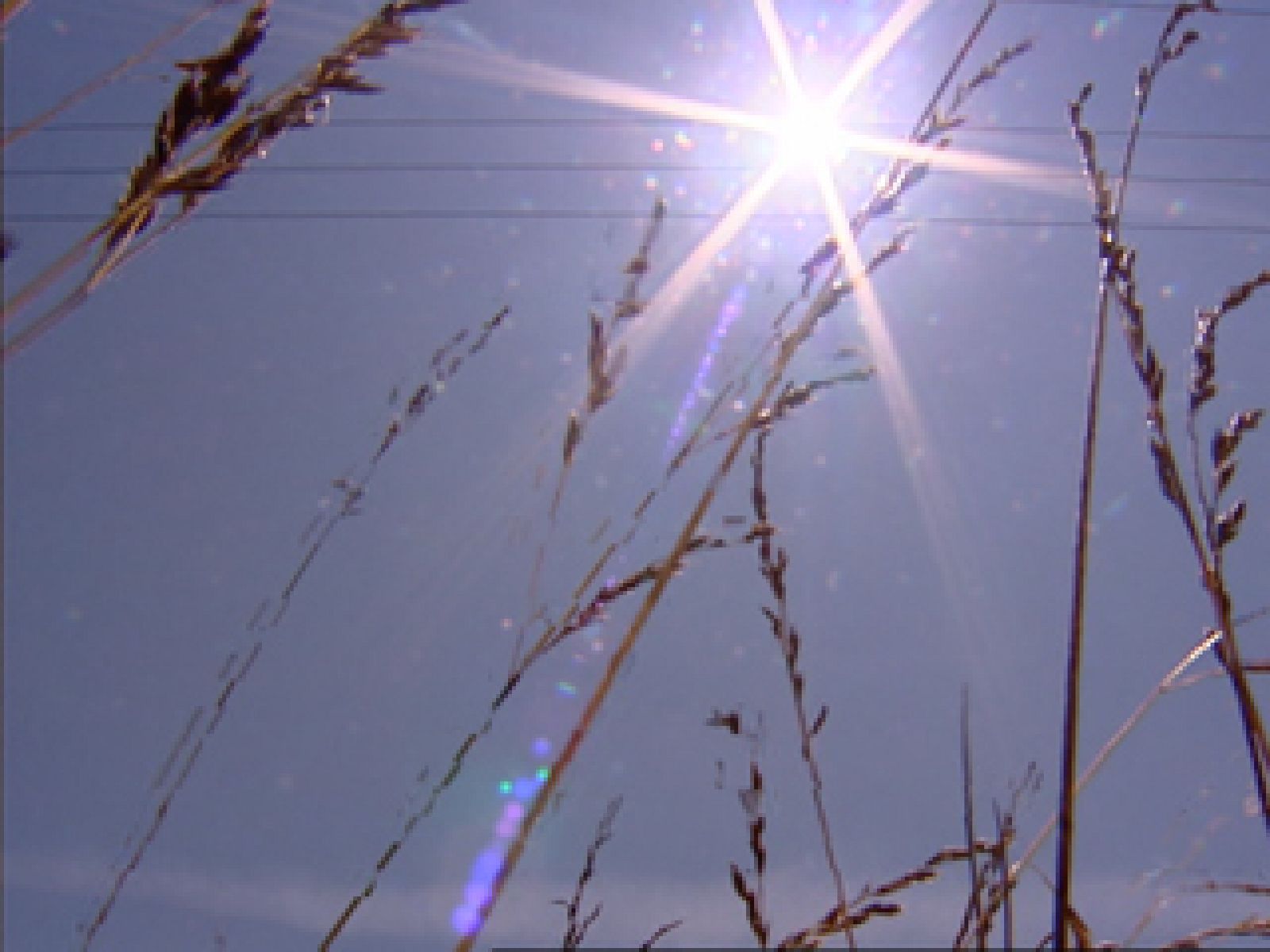 Una ola de calor afectará desde hoy a gran parte de la península