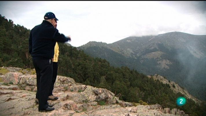 El escarabajo verde - Todos contra el fuego