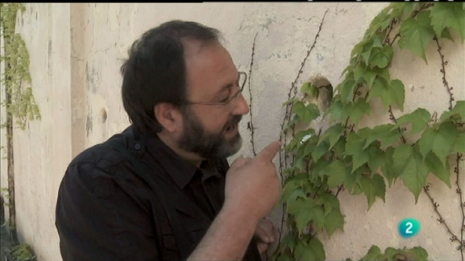 Biodiario - 25/06/11 - Ver ahora