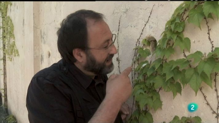 Biodiario - Biodiario - 25/06/11