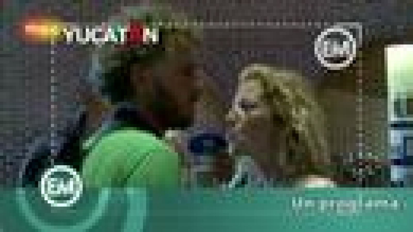 Españoles en el mundo - Yucatán - Tomas falsas