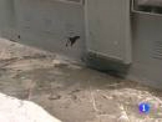 Telediario 1 - Agresión a un indigente