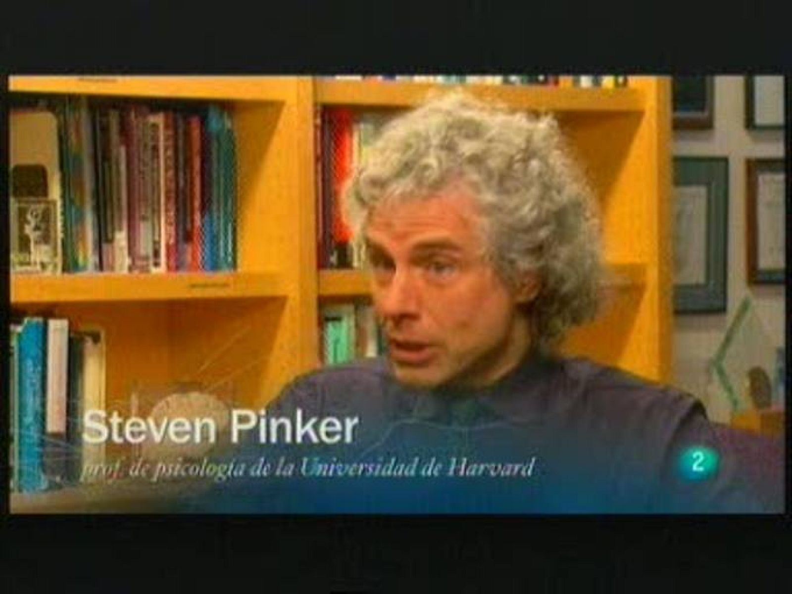 Redes - La violencia disminuye con Estados organizados, según el psicólogo social Steven Pinker