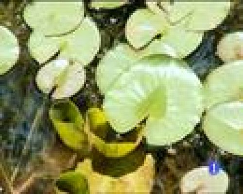 Destino: España - Valencia V - Peter