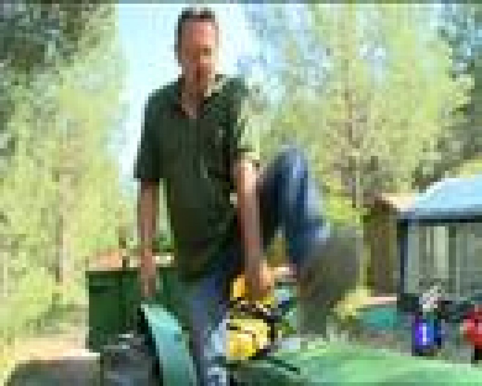 Destino España - Valencia V - Eduardo | Ver