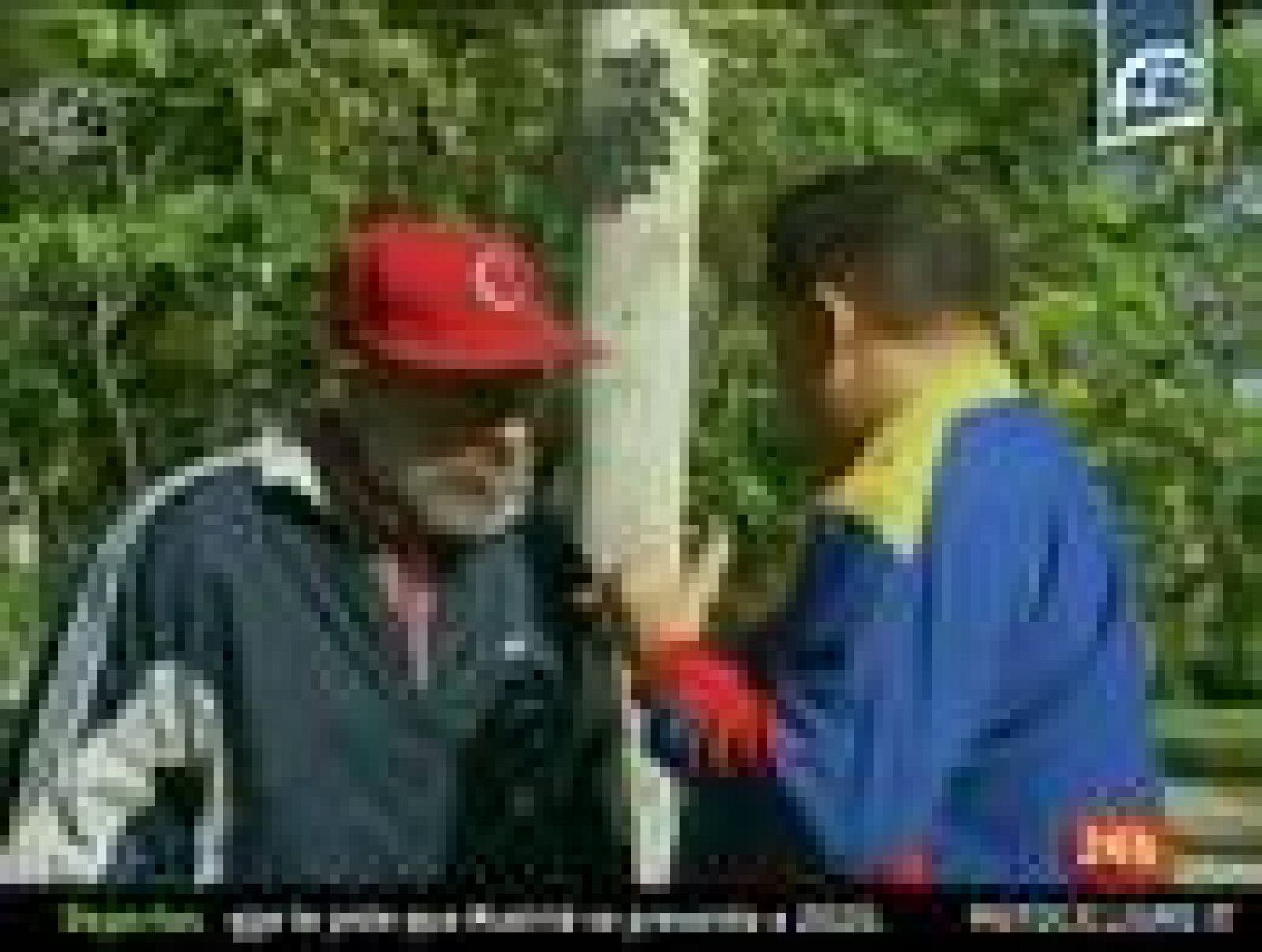 Informativo 24h: Chávez con Fidel Castro  | RTVE Play