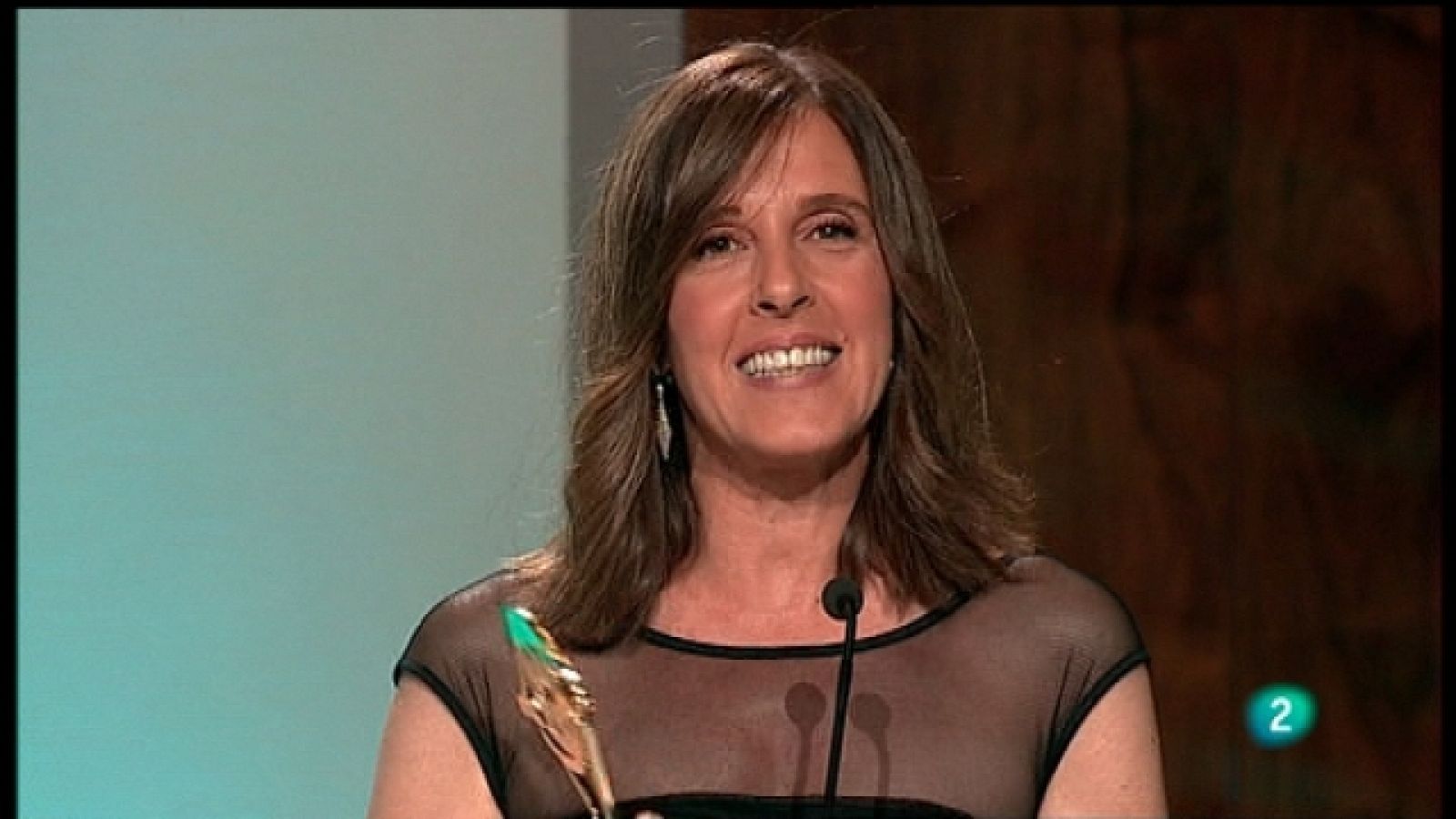 Premios de la Academia de Televisión 2011 - Ver ahora 