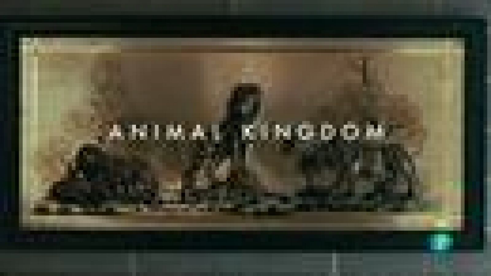 En los estrenos en DVD de esta semana: la australiana 'Animal Kingdom' de David Michod, 'Los ojos sin rostro del francés' George Franjú, 'El hundimiento de la Casa Usher', y la 'Ciudad Desnuda'