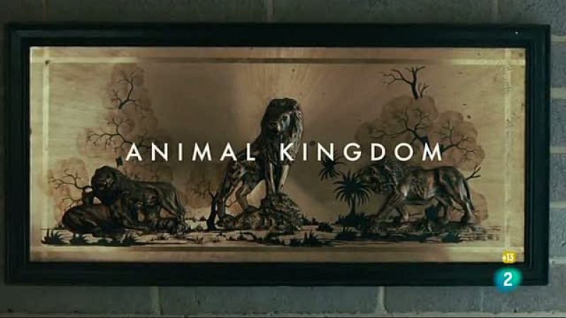 En los estrenos en DVD de esta semana: la australiana 'Animal Kingdom' de David Michod, 'Los ojos sin rostro del francés' George Franjú, 'El hundimiento de la Casa Usher', y la 'Ciudad Desnuda'