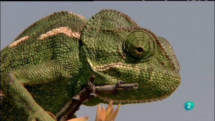 Biodiario - Biodiario - 01/07/11