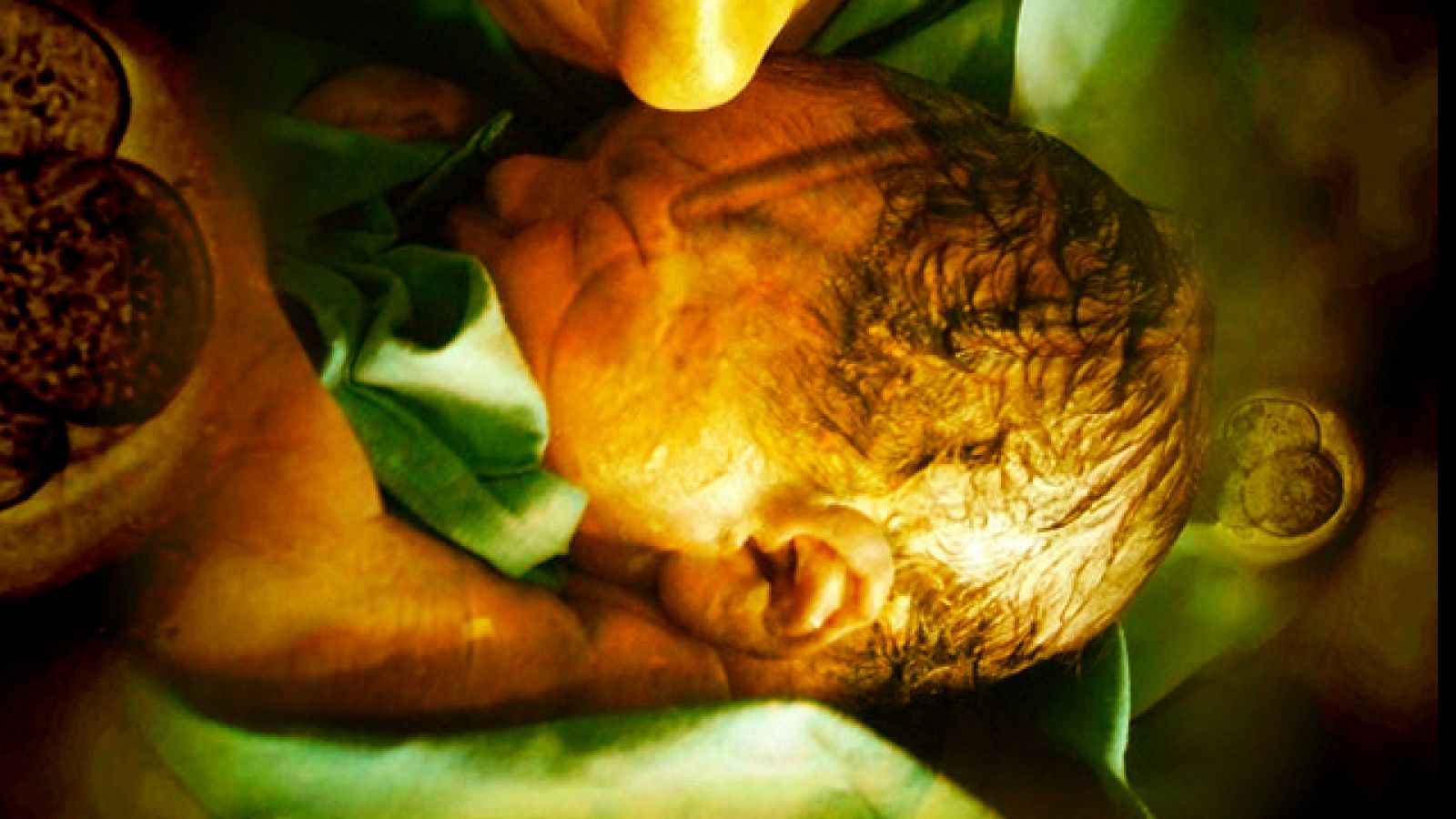 La Noche Temática - Células madre, una nueva esperanza. Avance - La noche temática | Ver